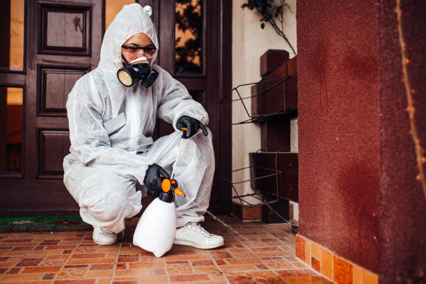 Reliable Cockroach Control contractor in Miami Gardens, FL by Nex Pest Control