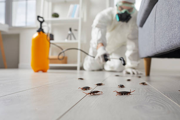Trusted Cockroach Control service in Miami Gardens, FL - Nex Pest Control